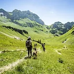Veronica Vr79 Nature & Mountain 3 Pers Châtel