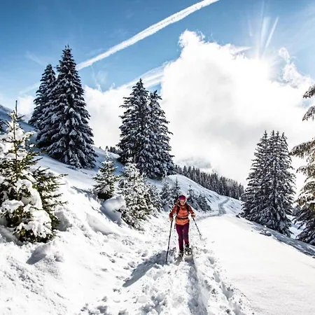 Veronica Vr79 Nature & Mountain 3 Pers *