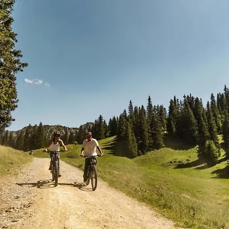 Veronica Vr79 Nature & Mountain 3 Pers *