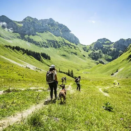 Veronica Vr79 Nature & Mountain 3 Pers Châtel