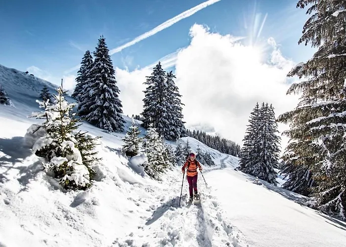 Veronica Vr79 Nature & Mountain 3 Pers *
