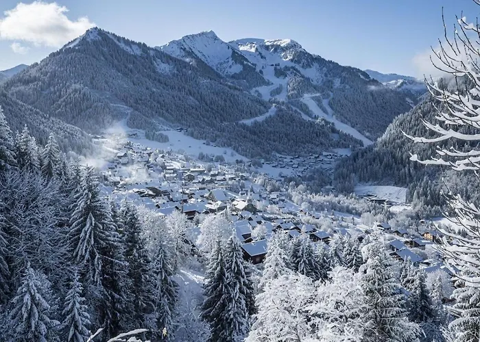 아파트 Veronica Vr79 Nature & Mountain 3 Pers Châtel