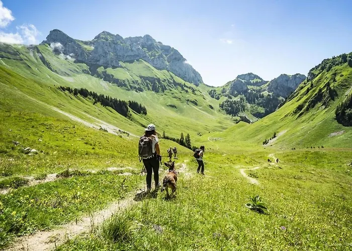 Veronica Vr79 Nature & Mountain 3 Pers Châtel