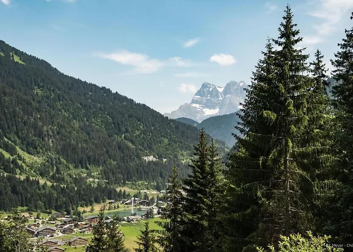 아파트 Veronica Vr79 Nature & Mountain 3 Pers *